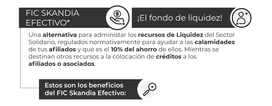 FIC-efectivo FIC-efectivo