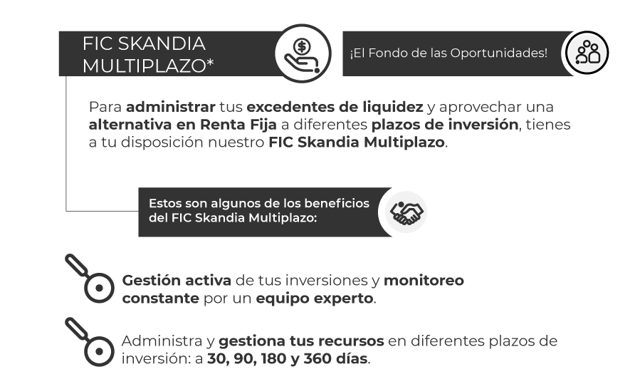 FIC-multiplazo FIC-multiplazo