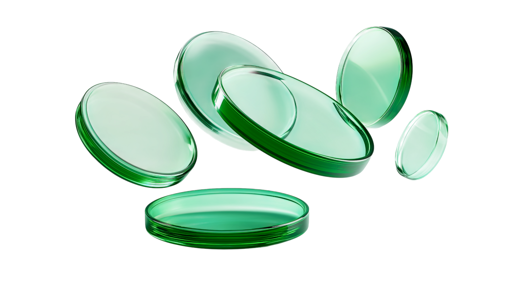 transparent-Photoroom (24)